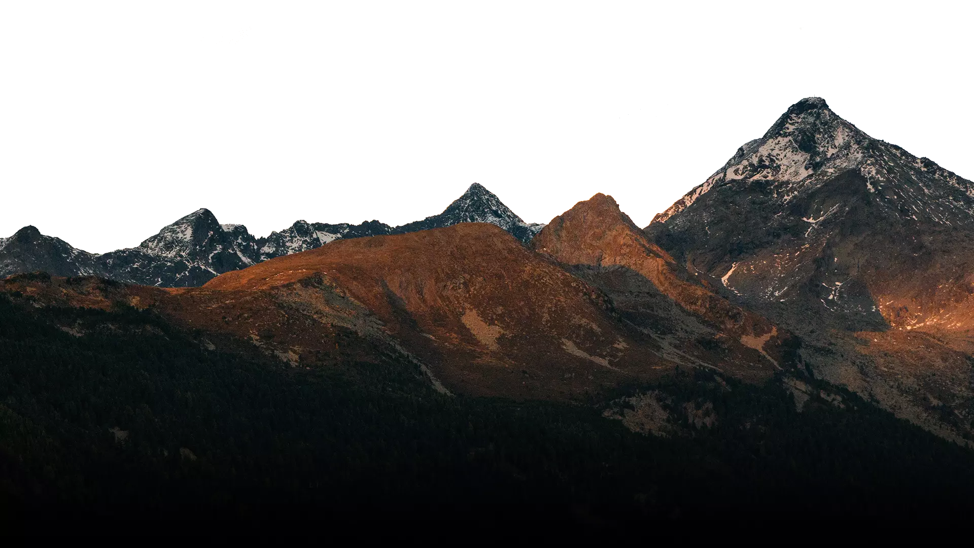 Marangoz Bahçe Kafe